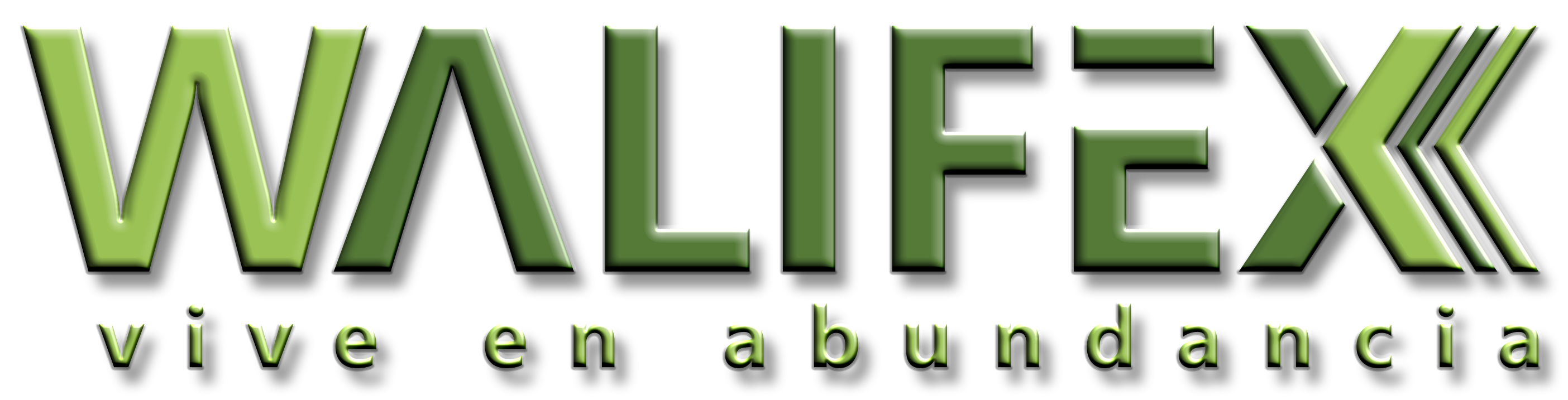 Logo Aivlife